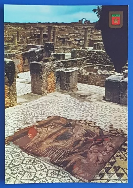 Postkarte AK  Intarsien des Venushauses. Volubilis Marokko Nordafrika um 1995