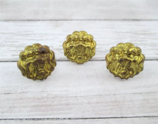 Three Vintage French Brass Lion's Head Upholstery Tack / Nails