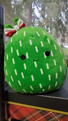 cactus squish mallow