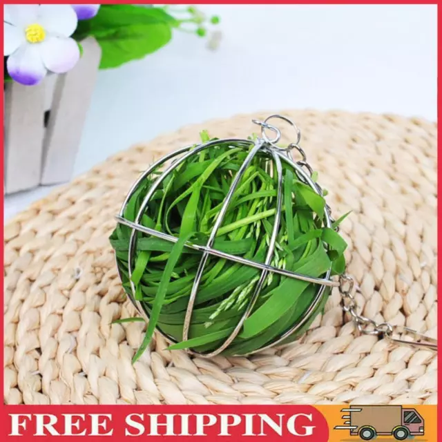 Stainless Steel Round Sphere Feed Dispense Exercise Hanging Pendant Hay Grass