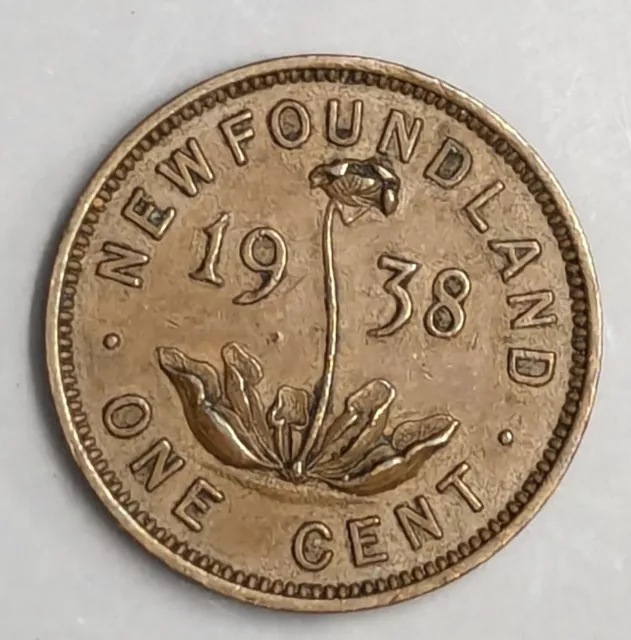 1938 NEWFOUNDLAND Canada One Cent Penny coin showing a Carnivorous Plant (C3473)