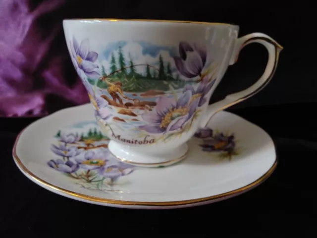 Duchess Manitoba Bone China Tea Cup & Saucer from England