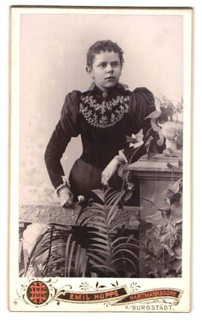 Fotografie Emil Hoppe, Hartmannsdorf, Portrait junge Dame im edlen Kleid mit Br