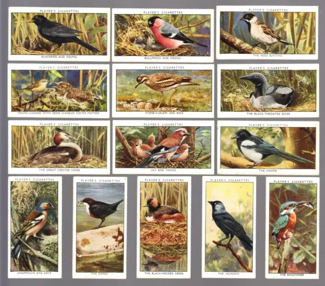 CIGARETTE CARDS. John Player Tobacco. WILD BIRDS. (1932). (Complete Set of 50).