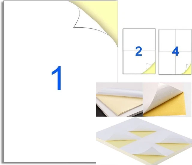 25mm Diametro Rotondo, 350 Etichette, Bianco Opaco, Carta - Foto 4