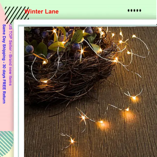 Winter Lane Indoor/Outdoor Multifunction 25' Micro LED Light String, Green