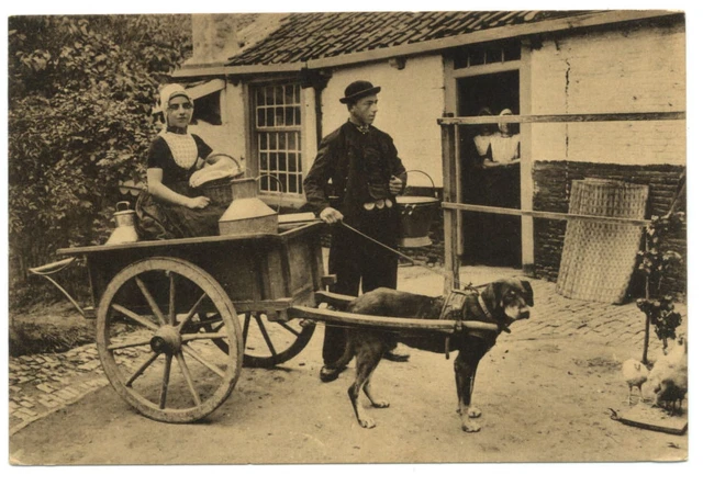 Middleburg Netherlands ~ dog pulling cart milk cans milkmaid ~ vintage postcard