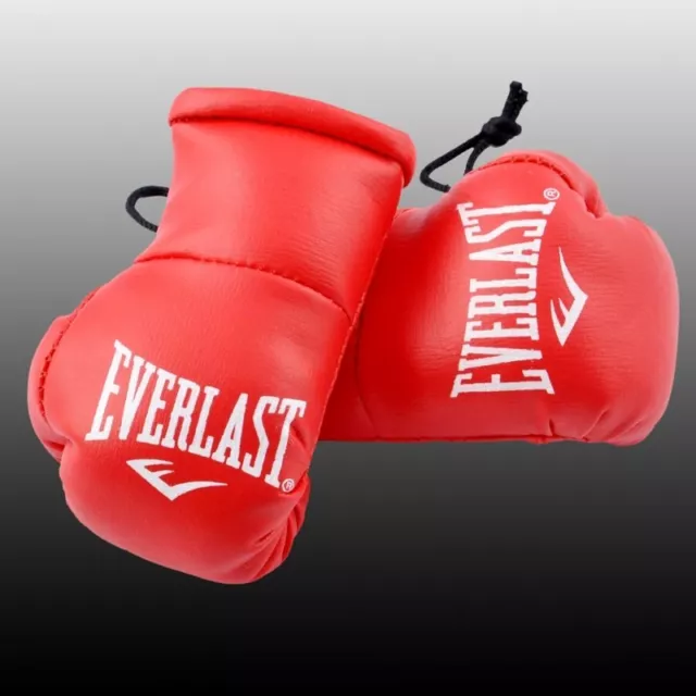 Everlast Mini Boxing Gloves For The Rear View Mirror Of Your Car,Red Black White