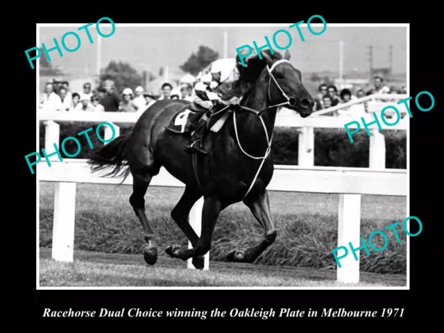 Old Historic Horse Racing Photo Of Dual Choice Winning The Oakleigh Plate 1971