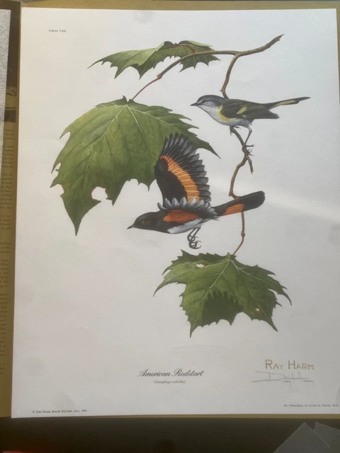 RAY HARM Lithograph AMERICAN REDSTART Signed w/Folder -Crest VIII RAY HARM Lithograph AMERICAN REDSTART Signed w/Folder -Crest VIII