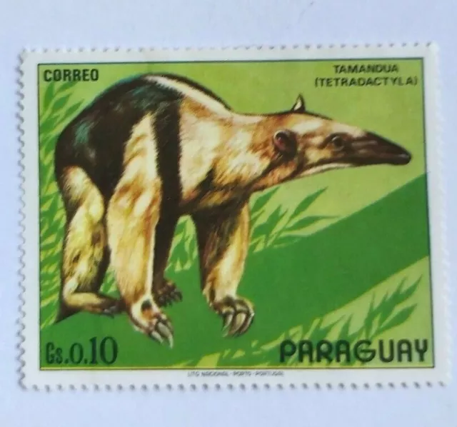 1972 Paraguay Tamandua tetradactyla Stamp South America wild life animals Fauna