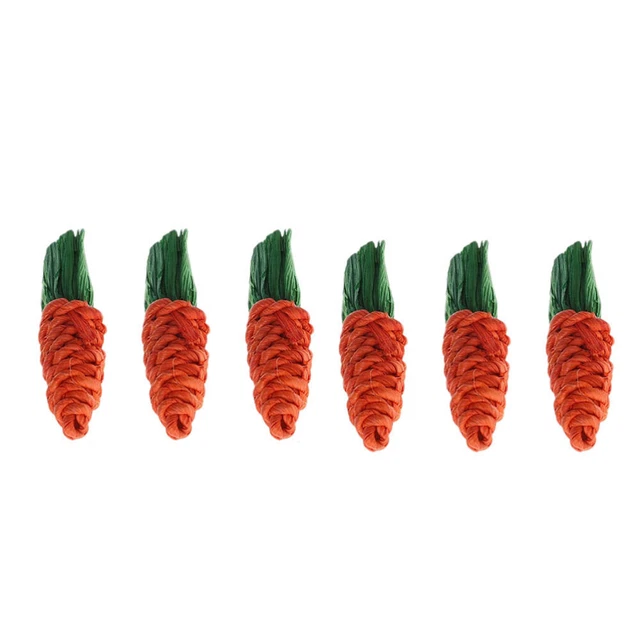 Hamster Kauen Spielzeug Molaren Karotte: 6Pcs Kaninchen Ratten Chinchillas