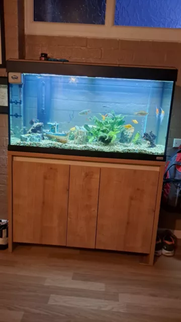 200litre Solid Oak Fish Tank Complete