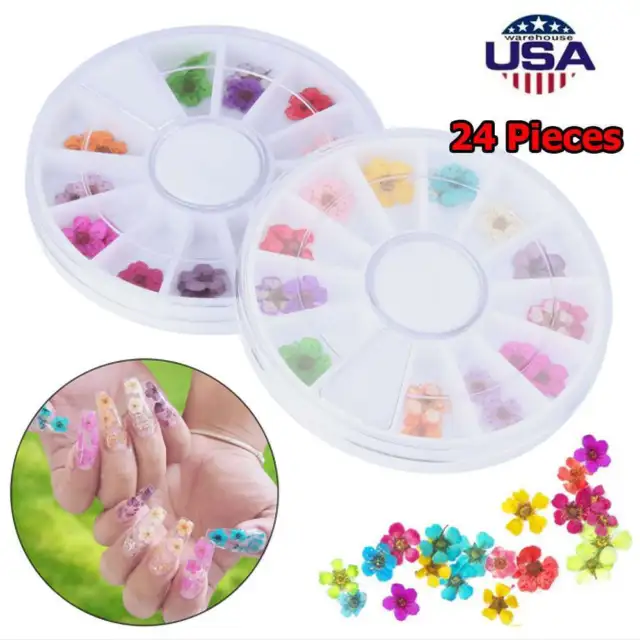 12 Colors Real Dried Flowers 3D Nail Art Decors Design DIY Tips