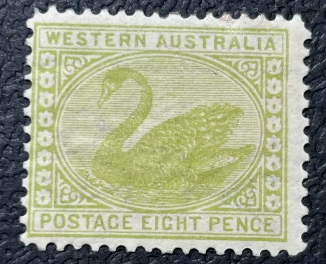 WESTERN AUSTRALIA stamp 1905 Black Swan 8d  perf 12 1/2 / MLH / TA371