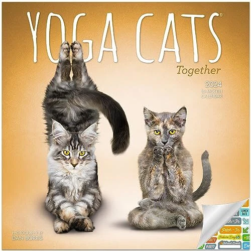YOGA CATS TOGETHER Calendar 2024 Deluxe 2024 Yoga Cats Wall Calendar