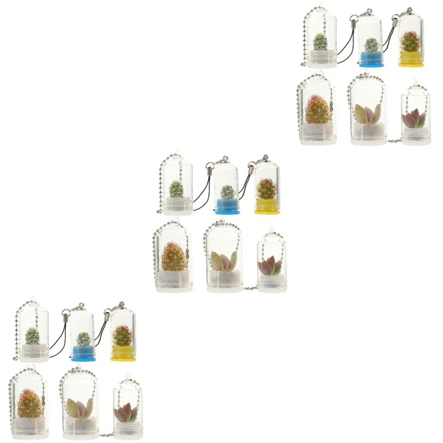 18 Pcs Terrarium Plant Keychain Key Chain Hanging Glass Mini
