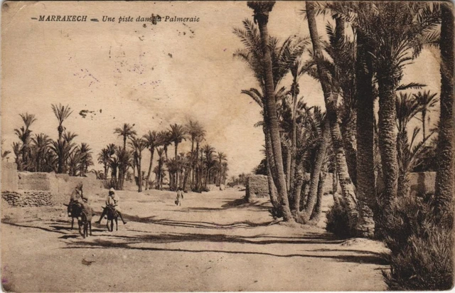 CPA AK MOROCCO Marrakech A Track in the Palm Grove (38481)