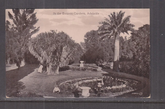 ADELAIDE, SOUTH AUSTRALIA, IN THE BOTANIC GARDENS, c1920 ppc., unused.