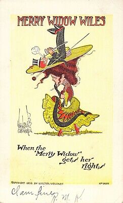 1908 Merry Widow Wiles Big Hat Walter Wellman #2051 Postcard Humor Postmarked