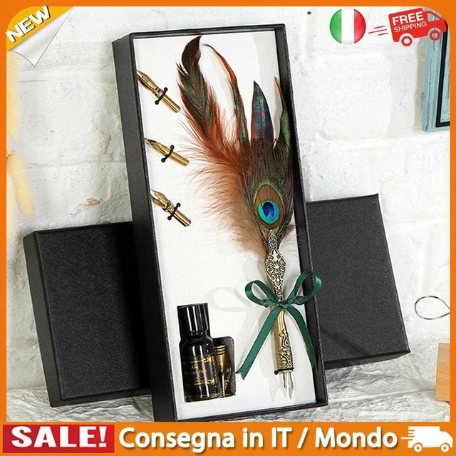 IT Fountain Feather Pen Set Vintage Sprinkling Ink Bottle Calligraphy Writing Se