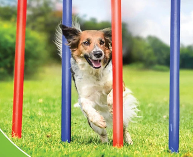 Juego de agilidad para mascotas entrenamiento perros exterior juego slalom set bolsa dañada
