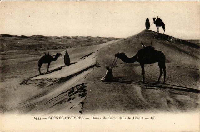 CPA AK Scenes et Types Dunes de Sable dans le Désert ALGERIA (787297)