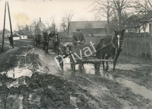 Photo Wk II Horse-Drawn Road Poland Upper Wachtmeister Hilscher K1.57