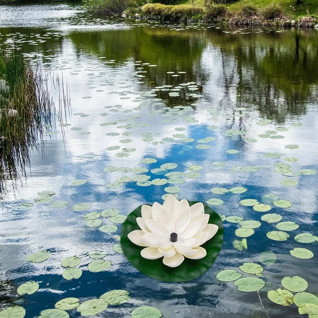Fontana da bagno per uccelli con ninfea Bagno per uccelli all'aperto per