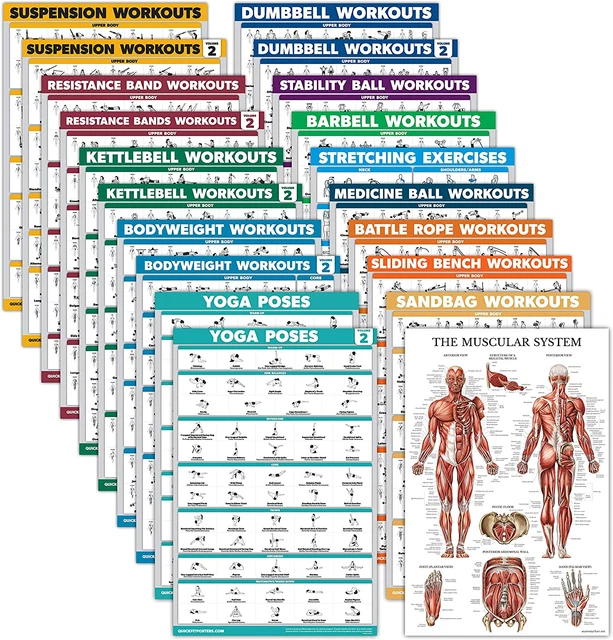 20 Pack Exercise Poster Set: Dumbbell Suspension Battle Rope Stretching Bodyweig