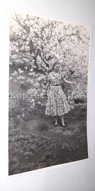 Hübsches junges Mädchen vor Baum Kirschblüte 1952 Petticoat Maid Foto AK 50er