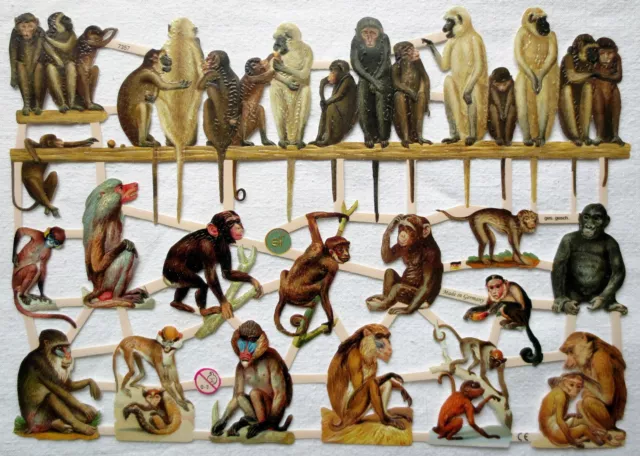 Glanzbilder Oblaten ~  ef 7357 Viele Affen  Tiere Scrap Poesie Albumbilder
