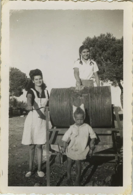 Photo Ancienne - Vintage Snapshot - Paysan Travail Vendanges - Farmer Working