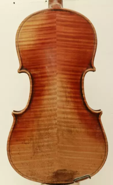 full size German Violin