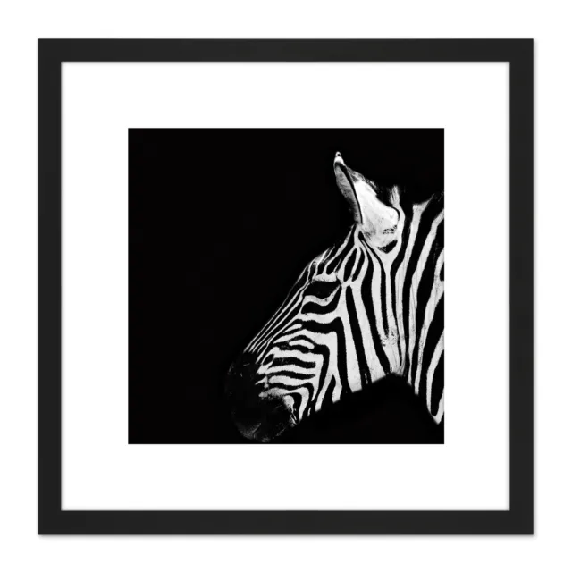 Zebra Head Animal Black White Photo Square Framed Wall Art 8X8 In