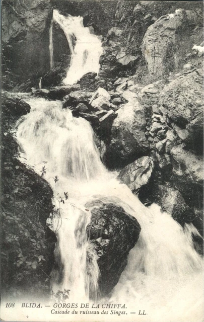 CPA Algeria Blida Gorges de la Chiffa Monkey Creek Waterfall