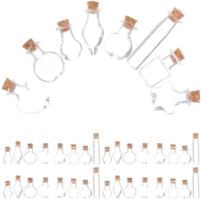 48 Pcs Probe-Display-Flasche Aufbewahrungsbehälter Aus Glas Kleine