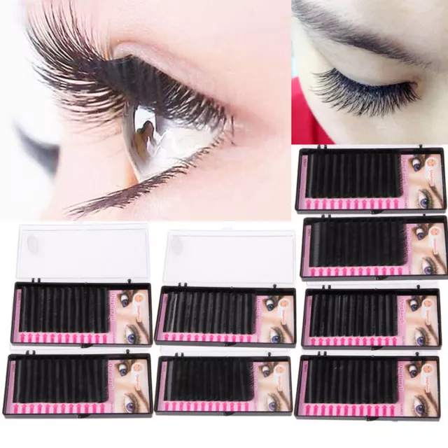 New Mink Blink Lashes Tray Lash C D Curl For Individual Eyelash Extensions CA SO