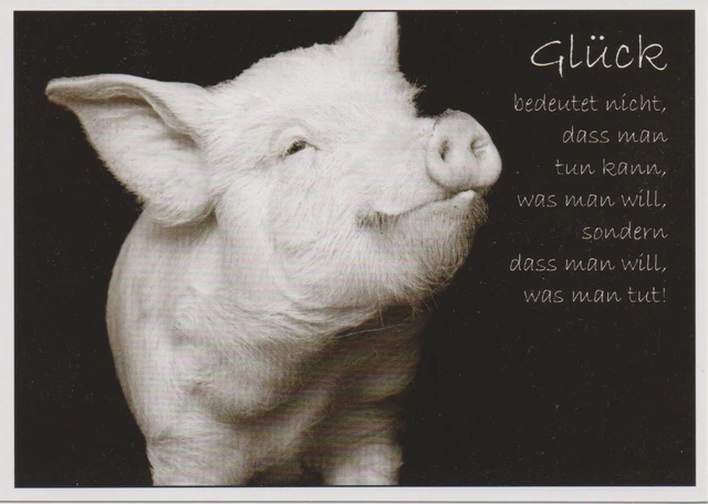 S/WANSICHTSKARTE MIT SPRUCH kleines GlücksSchwein Glück bedeutet