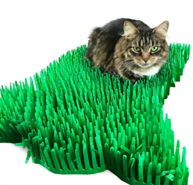 Cat Toy Tissue Paper Grass Mats Green Interactive Kitten Indoor Pet Toys  Gift