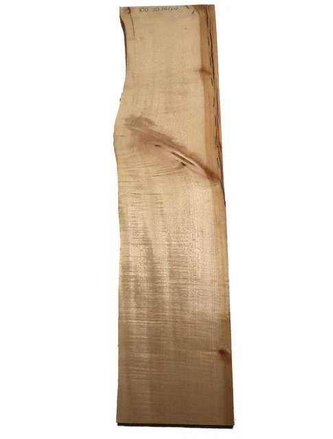 Riegelahorn Bois Geriegelt Bois de Résonnance Curly 100x20-26cm x 23mm