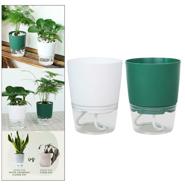 Violet - Pot de fleur en céramique pour plantes succulentes, Mini