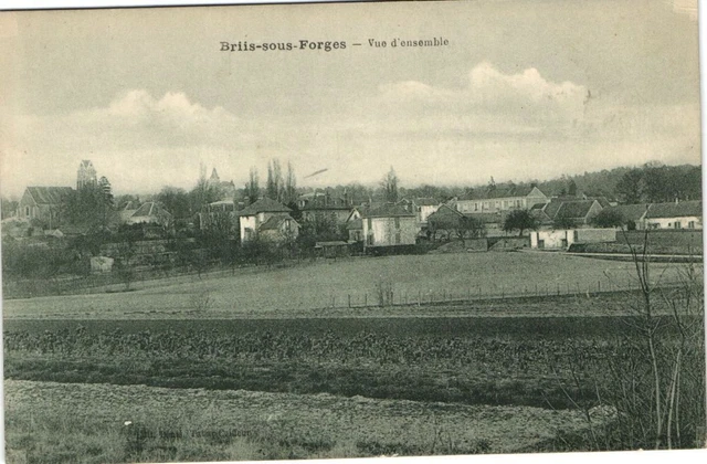 CPA Briis under Forges - Ensemble View (180363)