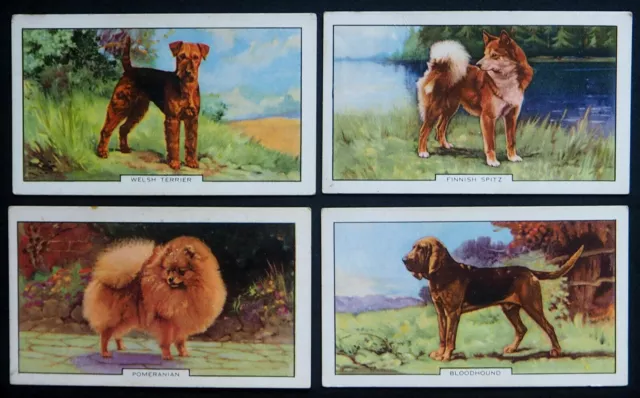 GALLAHER  4 VINTAGE 1938 CIGARETTE CARDS  DOGS  SERIES TWO  No  4 - 5 - 6 - 7