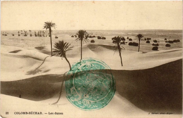 CPA AK Geiser 32 COLOMB-BÉCHAR Les dunes ALGERIA (757418)