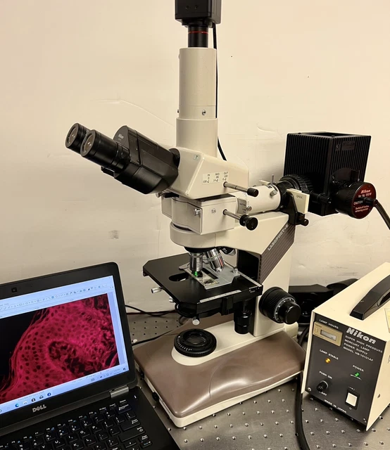 Nikon Labophot 2 Fluorescence Microscope 5MP Camera  Excellent