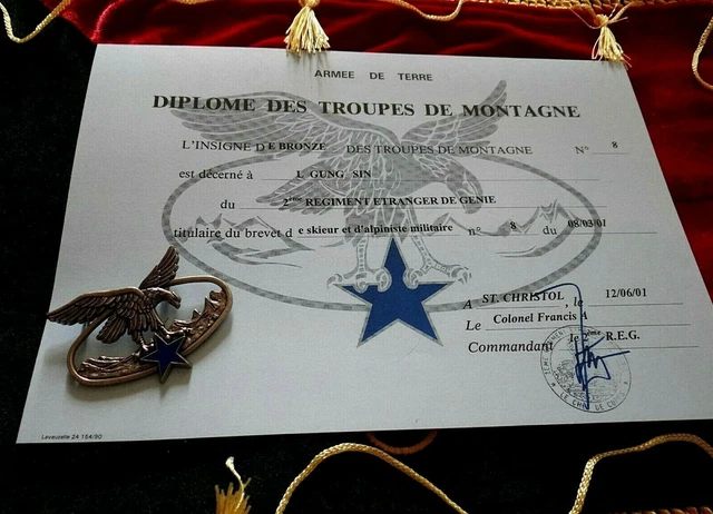 INSIGNE MILITAIRE CALOT Pour Chasseurs Alpins Tbe EUR 7,90 - FR