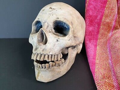 Old Cast Skull …beautiful display piece