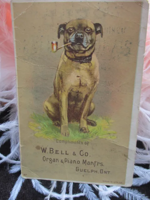 Victorian Advertising Trade Card Little W. BELL & CO. ORGAN PIANO w/Smoking Dog