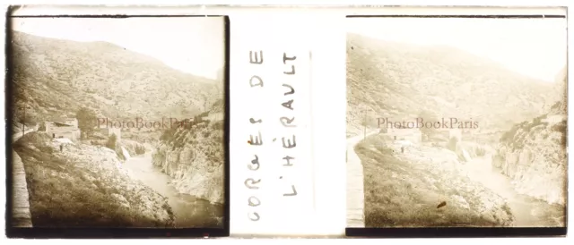 FRANCE Gorges de l’Hérault c1930 Photo Stereo Glass Plate Vintage V17T13n 2